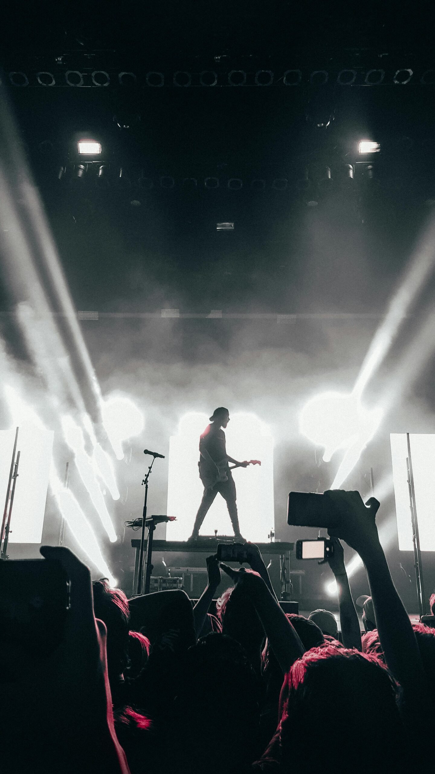 Silhouette of a musician performing live on stage with energetic audience. Captures the essence of nightlife entertainment.